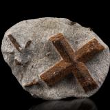 Estaurolita [Staurolite]<br />Pestsovye Keivy, Montes Keivy, Península Kola, Murmanskaja Oblast, Región Norte, Rusia<br />8.5 x 6.5 x 2.5 cm / cristal principal: 5.5 cm<br /> (Autor: Museo MIM)