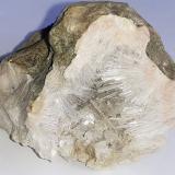 Natrolite, AnalcimePiz Sella, Plan de Gralba, Selva di Val Gardena, Trento Province, Trentino-Alto Adige (Trentino-Südtirol), Italy5,5 x 4,5 cm (Author: Volkmar Stingl)