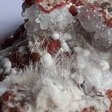 Dawsonite, Nordstrandite, Quartz<br />Terlano (Terlan), Bolzano Province, Trentino-Alto Adige (Trentino-Südtirol), Italy<br />3,5 x 3 cm<br /> (Author: Volkmar Stingl)