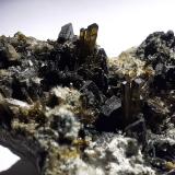 Epidote, Augite<br />Seebachkar, Obersulzbach Valley, Bramberg am Wildkogel, Zell am See District, Hohe Tauern, Salzburg, Austria<br />3,5 x 3 cm<br /> (Author: Volkmar Stingl)