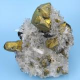 Chalcopyrite, quartz
Alimon Mine, Huaron, San José de Huayllay, Cerro de Pasco, Daniel Alcides Carrión, Pasco, Peru
70 mm x 63 x mm 33 mm (Author: Carles Millan)