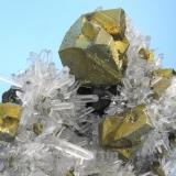 Chalcopyrite, quartz
Alimon Mine, Huaron, San José de Huayllay, Cerro de Pasco, Daniel Alcides Carrión, Pasco, Peru
70 mm x 63 x mm 33 mm

Close-up view (Author: Carles Millan)