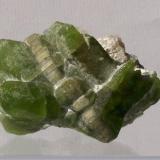 Olivine series, Forsterite var.Peridot with Calcite; Sapat Gali (Soppat), Kohistan, Pakistan.
50x35x33mm, 56g. GN’s collection id 09PKOcm01.
Taken in direct sunlight. (Author: Gerhard Niklasch)