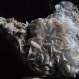 Calcite on matrix, 50 x 35 mm, Over Kellet Limestone Quarry Lancashire UK (Author: nurbo)