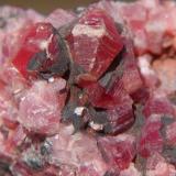 Ephesite (Mica)
Postmasburg Manganese Fields, Northern Cape, S. Africa.
Crystals to 1cm (Author: Debbie Woolf)