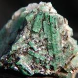 Emeralds in Biotite Schist. 
Cobra Pit, Gravelotte Emerald Mine, Limpopo Province, S. Africa
2.7 x 2.3 x 2.5cm
Crystals to 1.6cm (Author: Debbie Woolf)