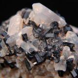 Schorl on clear Quartz to 1.5 cm. on Feldspar. 
Klein Spitzkoppe, Erongo Region, Namibia.
Crystals of Schorl to 1.1cm (Author: Debbie Woolf)