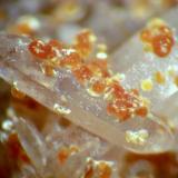 Cacoxenite on Quartz - Chala Gold mine. Spahievo Ore Field, Bulgaria. FOV> 1.5cms across (Author: Colleen Thomson)