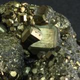 07 Pyrite Nanisivik 04.JPG (Author: Matt_Zukowski)