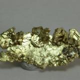 Gold Round Mountain Mine 3.0 cm, 3.6g (Author: Matt_Zukowski)