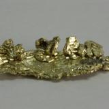 I know Peter would prefer to see strange and interesting specimens, but this one is typical of the locality.  But hey - it’s gold!  Even if i get a better one, I’ll still keep this specimen because it is my first nice xtaline gold. (Author: Matt_Zukowski)