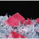 Rhodochrosite with Quartz - Sweet Home Mine - Colorado - Crystalsize 0.7 cm (Author: jaysminerals)