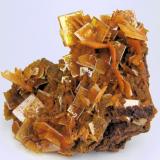 Wulfenite, mimetite
San Francisco Mine, Cerro Prieto, Cucurpe, Sonora, Mexico
65 mm x 50 mm. Main wulfenite crystal: 14 mm on edge (Author: Carles Millan)