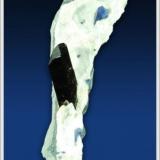 Neptunite with Benitoite  - Dallas Gem Mine - San Benito County - California - large minature (7.0 x 2.0 x 1.5 cm) (Author: jaysminerals)