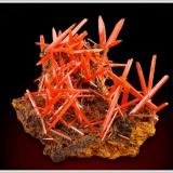 Crocoite - The Adelaide Mine - Dundas - Tasmania - minature (4.0 x 4.0 x 2.5 cm) (Author: jaysminerals)