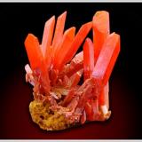 Crocoite - The Adelaide Mine - Dundas - Tasmania - thumbnail (1.5 x 1.5 x 1.0 cm) (Author: jaysminerals)