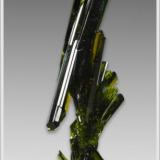 Epidote - Knappenwand - Untersulzbachtal - Austria - miniature (3.9 cm x 0.8 x 1.2cm) (Author: jaysminerals)