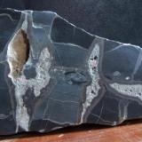 Cut and Polished Septarian mudstone, 270 x 125 mm, Roeburndale Lancashire, Collected  2005. (Author: nurbo)