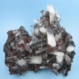 Hemimorphite
Santa Eulalia District, Mun. de Aquiles Serdán, Chihuahua, Mexico
75 mm x 73 mm x 34 mm. Largest crystal size: 29 mm x 7 mm

Other photos published at "Fabre Minerals Reference Specimens, Mexico - Canada"  http://www.fabreminerals.com/specimens/RSMEC-north-america-notable-specimens.php#TV66K0 (Author: Carles Millan)