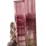2.5 x 1.1 x 1.0 cm elbaite with lepidolite from the Himalaya Mine, Gem Hill, Mesa Grande District, San Diego Co., California, USA (Author: Jim)