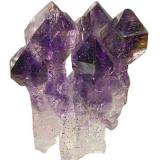 Quartz, var. amethyst, cluster of scepter crystals, Maharashtra, India, 2.4 x 2.1 x 1.6 cm (Author: Jim)