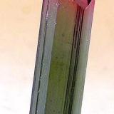 Liddicoatite, Madagascar, 25 x 9 mm (Author: Jim)