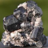 Schorl & Quartz.
Klein Spitzkoppe, Namibia
4.2cm x 4cm x 2.5cm (Author: Debbie Woolf)