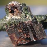 Vesuvianite &amp; Diopside.
Ais-Dome, Otjihorongo, Omaruru District, Namibia.
4cm x 3cm x 2.1cm (Author: Debbie Woolf)