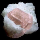 Beryl ( var. Morganite ) on Albite (var. Cleavelandite)

White Queen Mine
Pala District
Hiriart Mt.
San Diego County, California
United States of America

5.5 x 5.0 cm overall
4.0 cm crystal (Author: GneissWare)