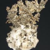 Silver with Quartz

Copper Falls Mine
Ashbed Lode
Keweenaw County, Michigan
United States of America

8.1 x 5.5 x 2.0 cm overall (Author: GneissWare)