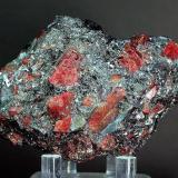 Rhodonite in Galena

Broken Hill
New South Wales
Australia

7.7 x 5.5 x 4.6 cm overall
2.1 cm crystal (Author: GneissWare)