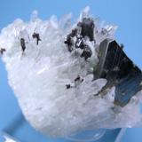 Tetrahedrite, hübnerite, quartz
Mundo Nuevo Mine, Huamachuco, Sánchez Carrión, La Libertad, Peru
61 mm x 57 mm. Tetrahedrite crystal edge: 25 mm long (Author: Carles Millan)