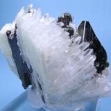 Tetrahedrite, hübnerite, quartz
Mundo Nuevo Mine, Huamachuco, Sánchez Carrión, La Libertad, Peru
61 mm x 57 mm. Tetrahedrite crystal edge: 25 mm long

Side view (Author: Carles Millan)