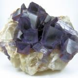 Fluorite, calcite
La Collada, Siero, Asturias, Spain
176 mm x 142 mm. Longest fluorite crystal edge: 36 mm (Author: Carles Millan)