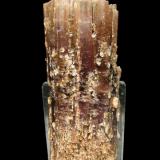Aragonite from La Pesquera, Cuenca, Spain
Specimen size: 8.9 × 3.3 × 3 cm = 3.5” × 1.3” × 1.2”
Photo: http://www.fabreminerals.com/specimens/RSES-spain-notable-specimens.php#N8BL6 (Author: Jordi Fabre)