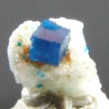 Boleite on Anglesite, 4 x 4 x 2 mm El Boleo, Santa Rosalia, Baja California, Mexico (Author: nurbo)