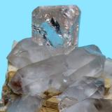 Topaz, quartz, mica
Gaoligong Mountains, Nujiang, Yunnan, China
96 mm x 74 mm. Main topaz crystal: 28 mm  tall x 24 mm wide

Close up view (Author: Carles Millan)