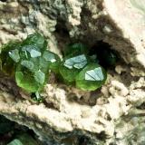 Andradite (var. Demantoid)
Ambanja District, Antsiranana, Madagascar
13 x 10 cm
Bigger crystal 3 cm (Author: Granate)