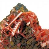 Crocoite
Dundas, Zeehan district, Tasmania, Australia
85 mm x 59 mm (Author: Carles Millan)