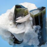 Elbaite, albite, quartz
Stak Nala, Haramosh Mountains, Skardu, Gilgit-Baltistan, Pakistan
65 mm x 57 mm. Major elbaite crystal size: 16 mm wide (Author: Carles Millan)