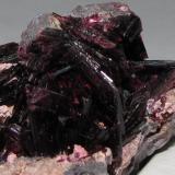 Close-up of erythrite crystals. (Author: Tracy)