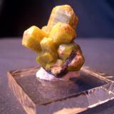 This little Sturmanite cluster is from N’Chwanning I Mine, N’Chwanning Mines, Kalahari Manganese Fields, Northern Cape Province, South Africa. The specimen measures 1 1/2" x 5/8" 9 3.81cm x 1.59cm) (Author: Jim Prentiss)