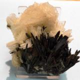 Barite and stibnite from Baia Sprie, Felsobanya, Rumania (Author: Wynnek)