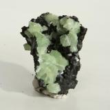 Babingtonite and prehnite, 5x7 cm.. (Author: vic rzonca)