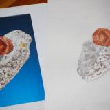 Grossular photo and painting. (Author: Gail)