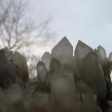 Quartz crystals in front of a East Berlin winter sundowner... The crystals are up to 4 cm, they come from the Simon Bogners Neuwerk mine, Brand-Erbisdorf, Freiberg district, Erzgebirge, Saxony. There was found just one big vug full of good crystals which are sought-after by local collectors. (Author: Andreas Gerstenberg)