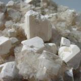 White picromerite crystals (up to 2,5 cm) on halite from the 800 m level, Bergmannssegen-Hugo potash mine, Lehrte near Hannover, Lower Saxony. (Author: Andreas Gerstenberg)