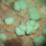 Pale green nodules of chrysocolla on calcite from Helgoland, Schleswig-Holstein. Picture width: 6 mm. (Author: Andreas Gerstenberg)