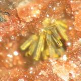 Dark red ianthinite crystals, alterating to yellow schoepite as a 3 mm aggregate on quartz from the Krunkelbach Uranium prospect, Menzenschwand, Black Forest. (Author: Andreas Gerstenberg)