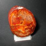 Excellent Carneole with "craquelee"-structure and a fine fire-red color. Polished section, 6 cm in height from Grünewald, Niederlausitz, Brandenburg. (Author: Andreas Gerstenberg)